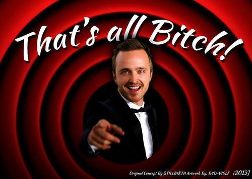That's All, Bitch: Jesse Pinkman and the Breaking Bad finale