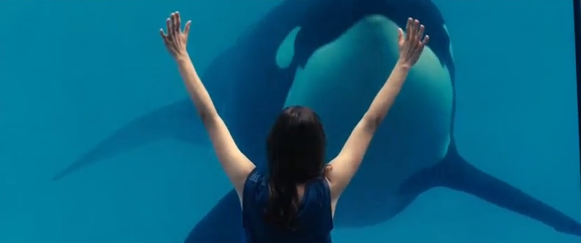 Marion Cotillard confrtonts an Orca in "Rust and Bone" (2012)